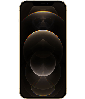 Ремонт iPhone 12 Pro Max в Ижевске